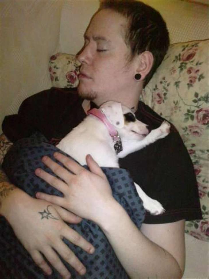 Dansk svensk gaardhund Molly - Far og Molly putter :D billede 7