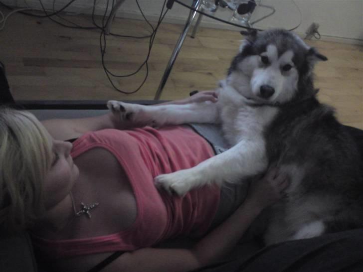 Blanding af racer Poppi billede 3