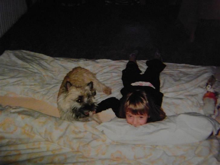 Cairn terrier O´SHIP´s OMAMORI* ~RIP~ - Filur og mig billede 2