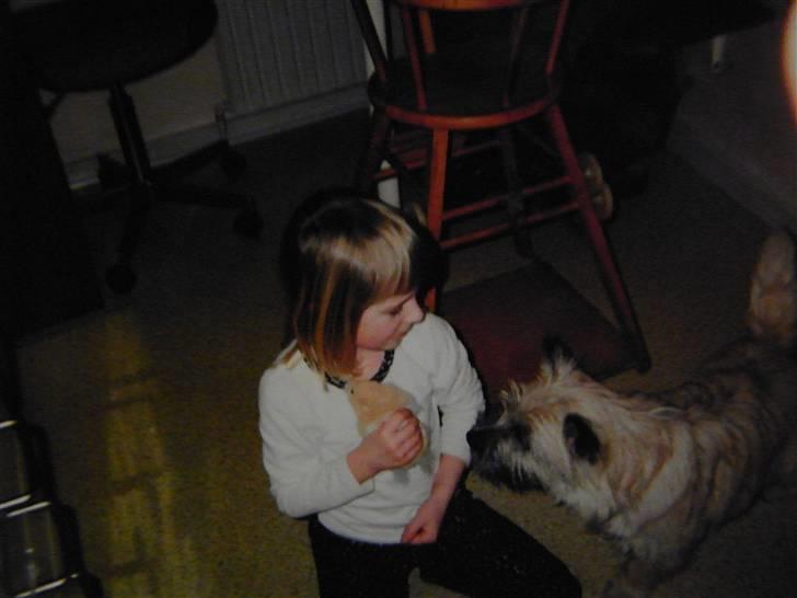 Cairn terrier O´SHIP´s OMAMORI* ~RIP~ - Filur, hamsteren Speedy, og mig billede 3