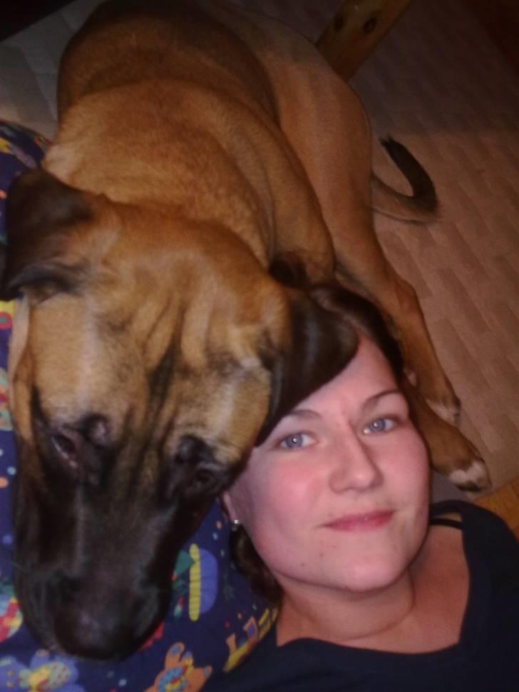 Blanding af racer Akila - Putte-tid!! billede 4