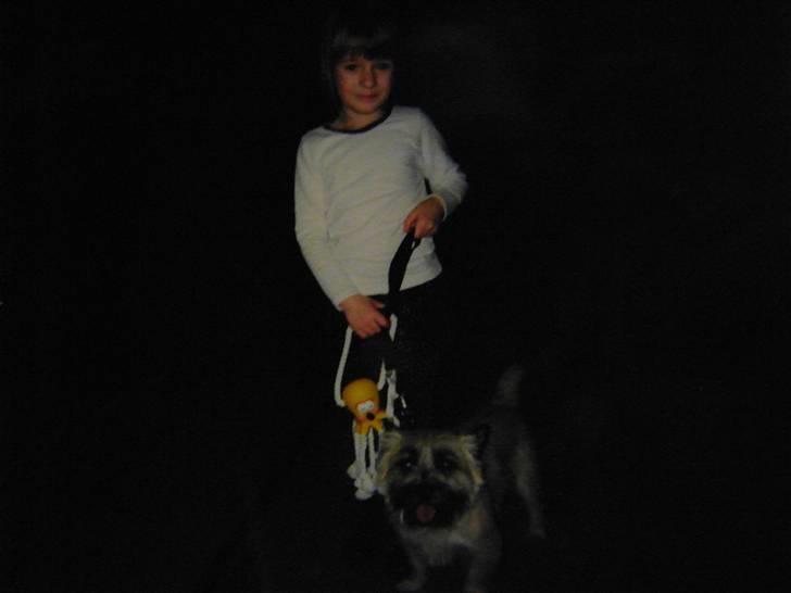 Cairn terrier O´SHIP´s OMAMORI* ~RIP~ - På udstilling billede 10