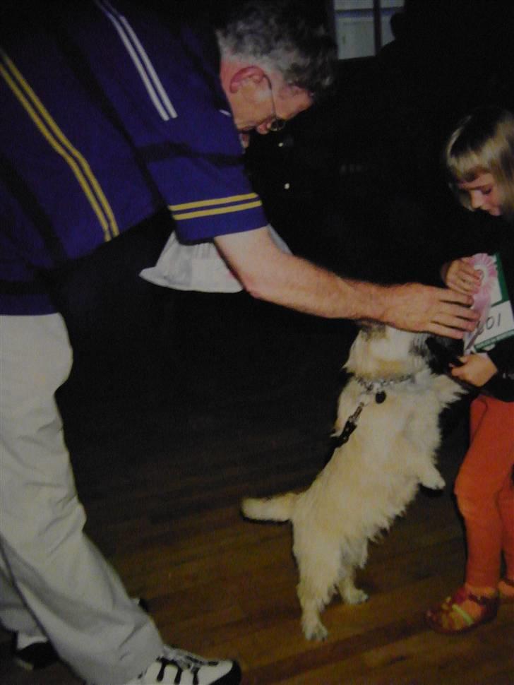 Cairn terrier O´SHIP´s OMAMORI* ~RIP~ - Udstilling billede 11