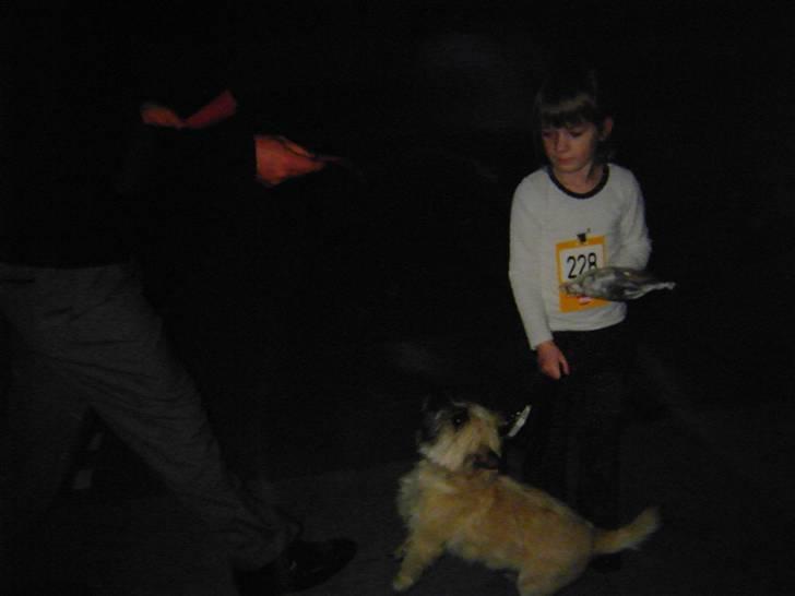 Cairn terrier O´SHIP´s OMAMORI* ~RIP~ - Udstilling billede 13