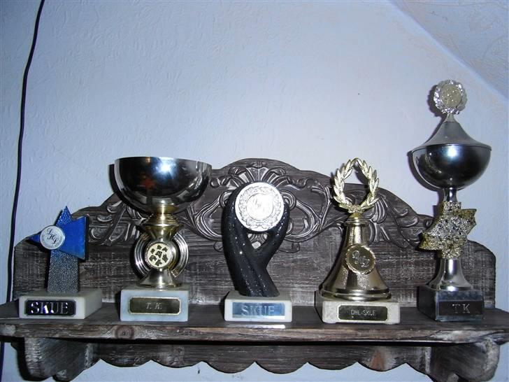 Cairn terrier O´SHIP´s OMAMORI* ~RIP~ - Hans pokaler, den lille blå er en 2 plads(som var den første han fik), resten er 1 pladser billede 14