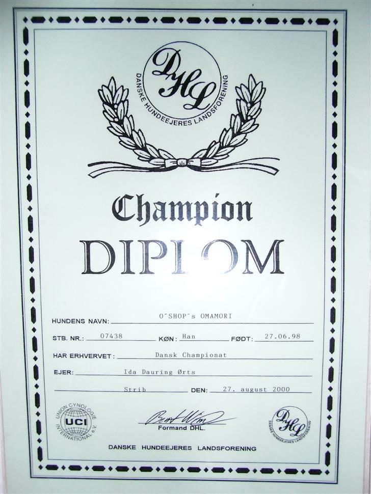 Cairn terrier O´SHIP´s OMAMORI* ~RIP~ - Hans diplom.. Er så stolt af ham!! :´) billede 16