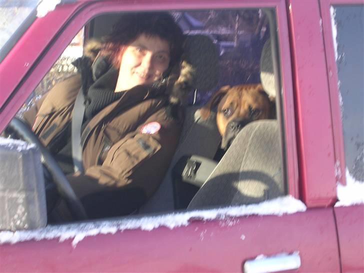 Blanding af racer Buster - ude og køre med de skøre billede 19