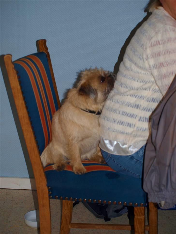 Blanding af racer Müsli R.I.P billede 18