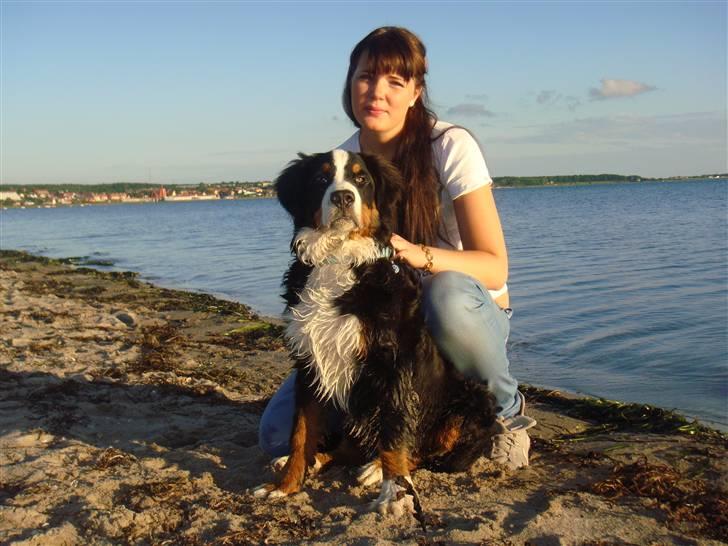 Berner sennenhund Lucas - Min mor og jeg på stranden. Er jeg ikke ved at blive stor? ½ år. billede 14