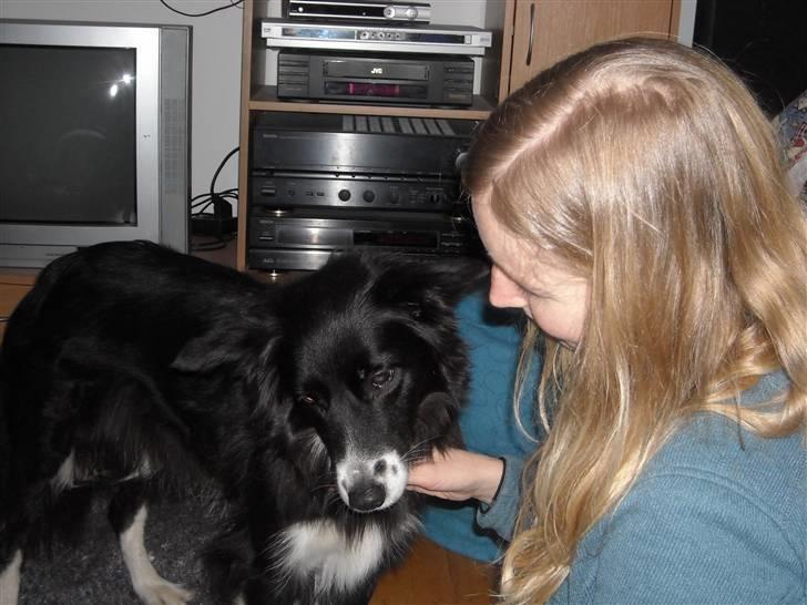 Blanding af racer Sasha - Maiken er bare rigtig rigtig sød billede 8