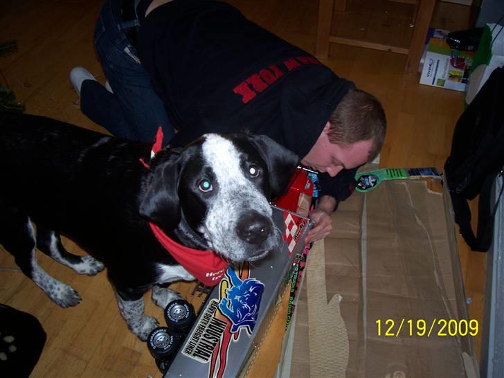 Blanding af racer Bernard - hjælper far med at pakke en stor lastbil op :) billede 6