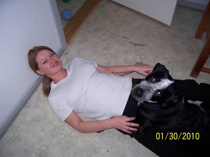 Blanding af racer Bernard - har nedlagt min mor :) billede 8