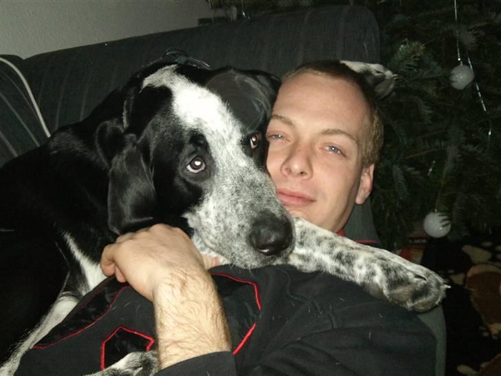 Blanding af racer Bernard - Elsker bare min far <3 :) billede 16