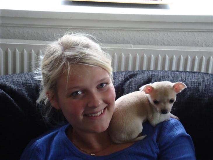 {{currentPhoto.altText}} billede {{currentPhoto.number}}