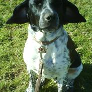 Blanding af racer Limbo