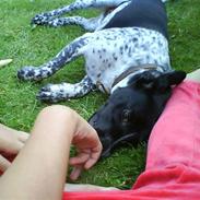 Blanding af racer Limbo