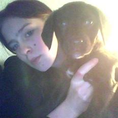 Blanding af racer Lady 