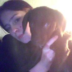 Blanding af racer Lady 