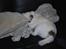 Blanding af racer jack Død d.18/12-10 :´( - Cute