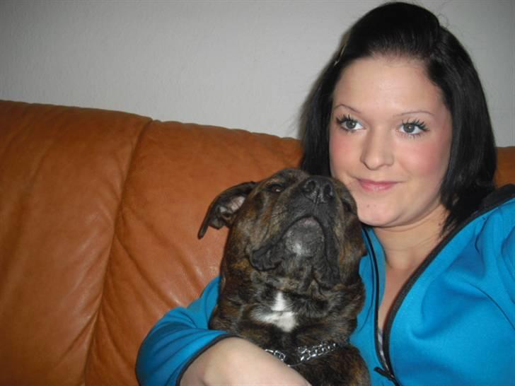 Amerikansk staffordshire terrier - Bessie <3 billede 5