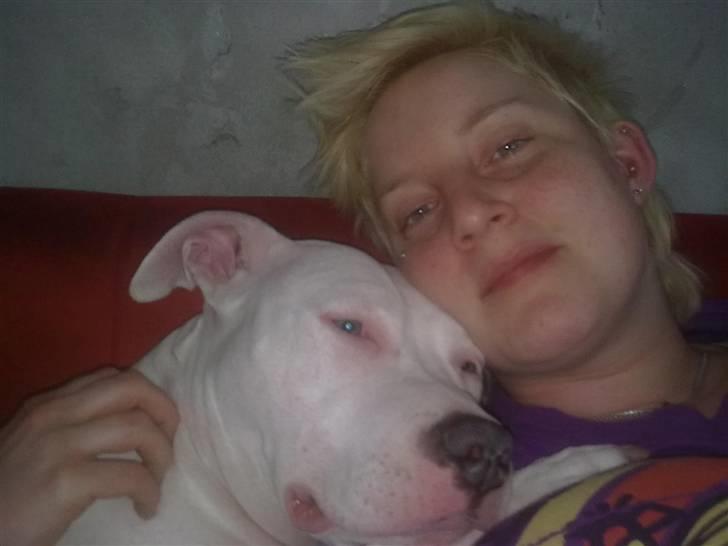 Amerikansk staffordshire terrier *bor hos min eks nu*Chica - Mor og jeg er lige lidt søndagstrætte :) billede 20