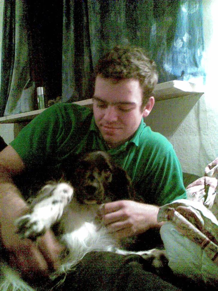 Blanding af racer Kvik billede 4