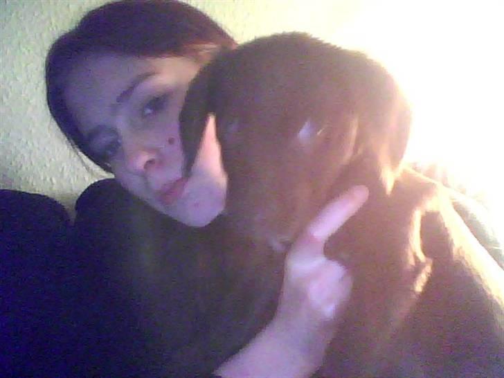 Blanding af racer Lady  - lady billede 2