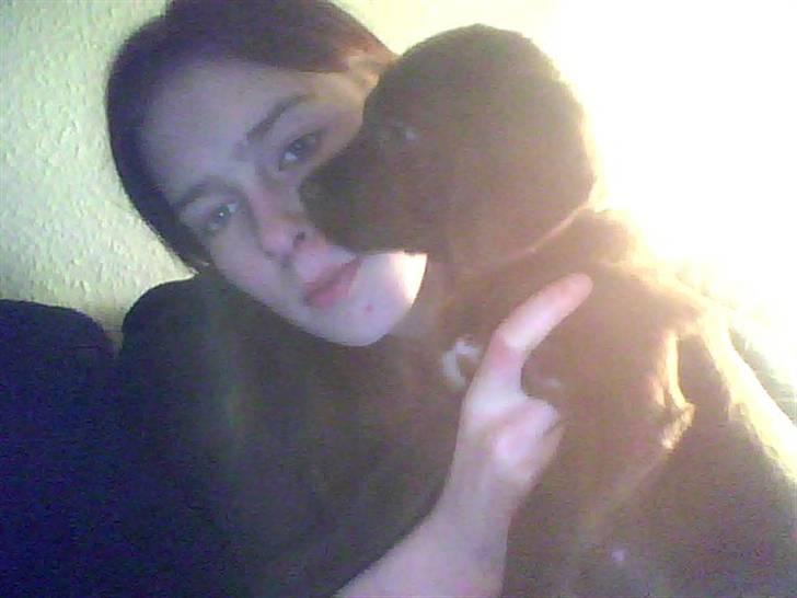 Blanding af racer Lady  - lady billede 3