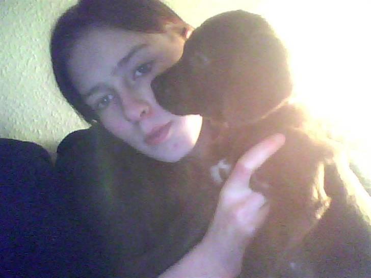 Blanding af racer Lady  - lady billede 4