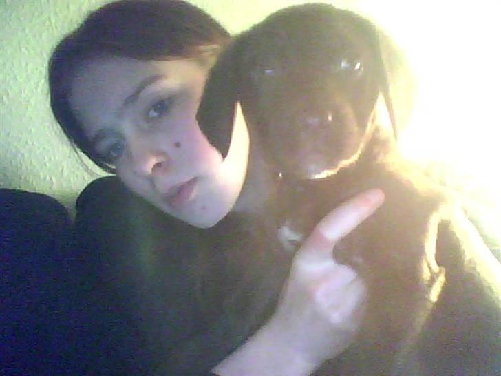 Blanding af racer Lady  - Lady billede 5