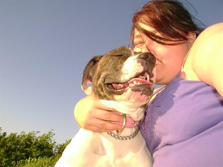 Amerikansk bulldog Topp`s Magic Star.. R.I.P - Baby`s sidste dag billede 20