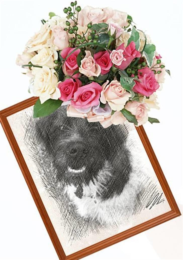 Blanding af racer Rollo (: - Min eneste ene<3 billede 4