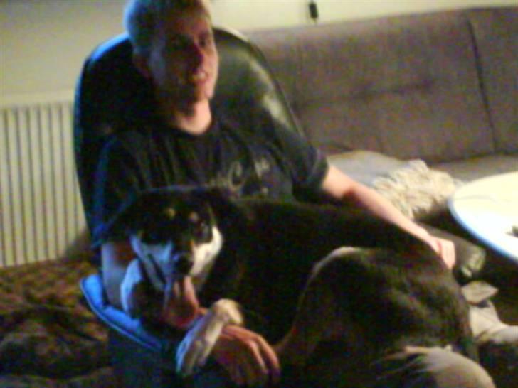 Blanding af racer Joy billede 15