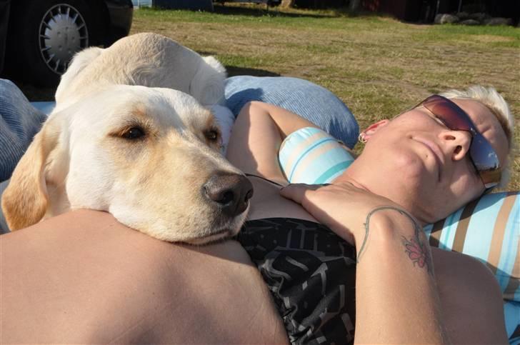 Blanding af racer Luzi - vi fiser den af...... billede 18