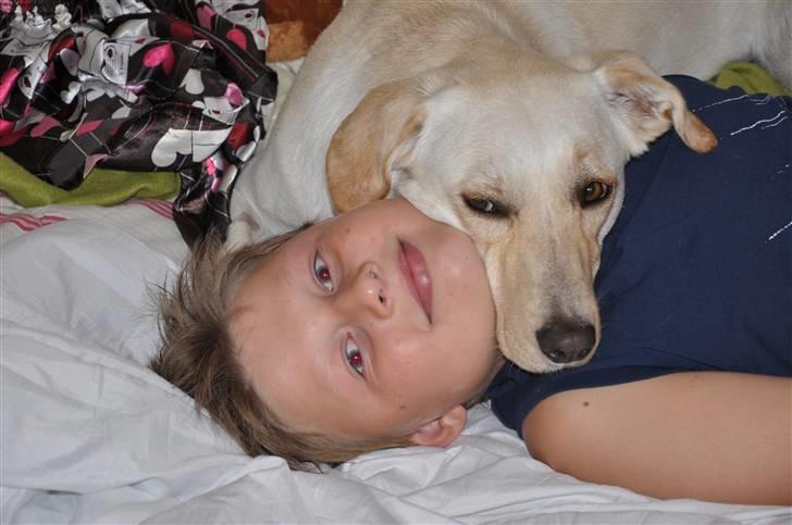 Blanding af racer Luzi - 2 puttedyr..... billede 20