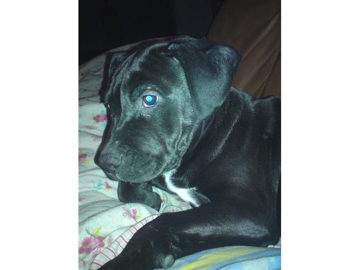 {{currentPhoto.altText}} billede {{currentPhoto.number}}