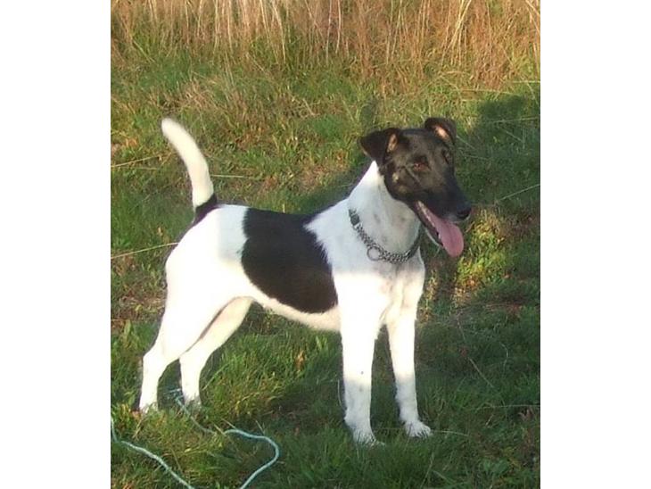 {{currentPhoto.altText}} billede {{currentPhoto.number}}