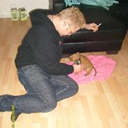 Blanding af racer Dolly