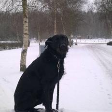 Blanding af racer buster