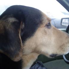 Blanding af racer Tumle