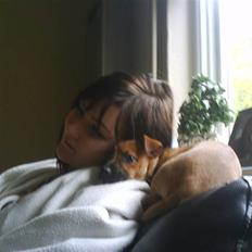 Blanding af racer King <3