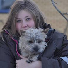Cairn terrier Santiago, Malle