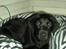 Labrador retriever Cantona (Canto) <3 :b - Det er faktisk MIN seng Cathrine!