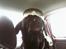 Labrador retriever lucky R.I.P )=