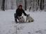 Engelsk bulldog Tinkerbell(grethe) (R.I.P)