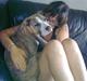 Amerikansk staffordshire terrier Bella