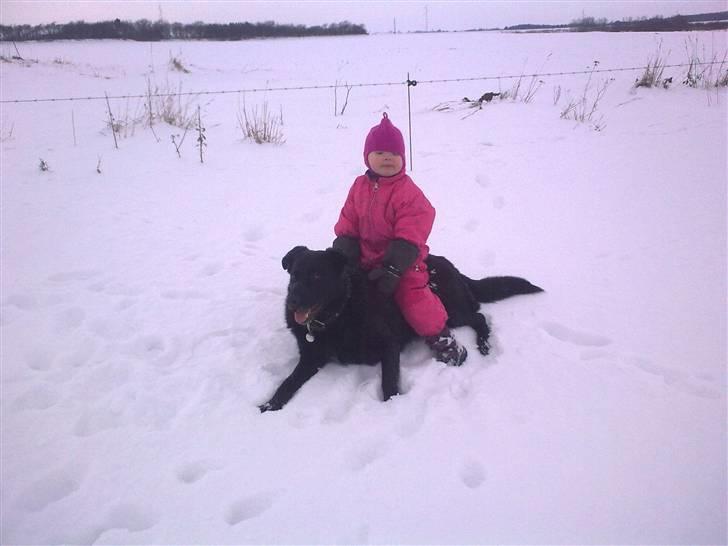 Blanding af racer Rohan - Veronica og Rohan billede 14