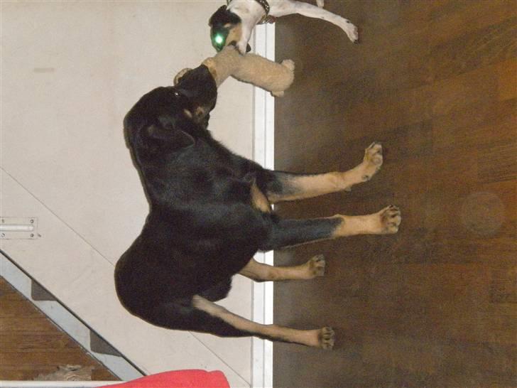 Blanding af racer max / maxi - ihh hende perle er altså en fræk sag ;) billede 6