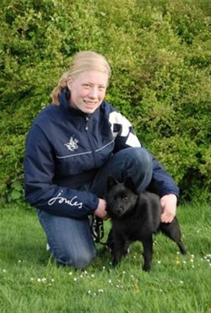 Schipperke Rijona Sille - Sille og jeg til træning - her i foråret 2009... billede 7