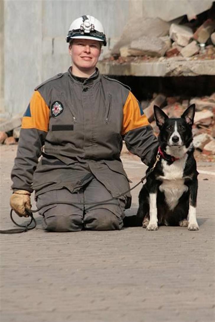 Border collie Píla - Píla og jeg som nyuddannet Redningshundeteam. Píla er klar ;-) billede 8